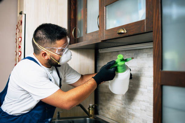 Best Best Pest Control Companies  in Juno Ridge, FL