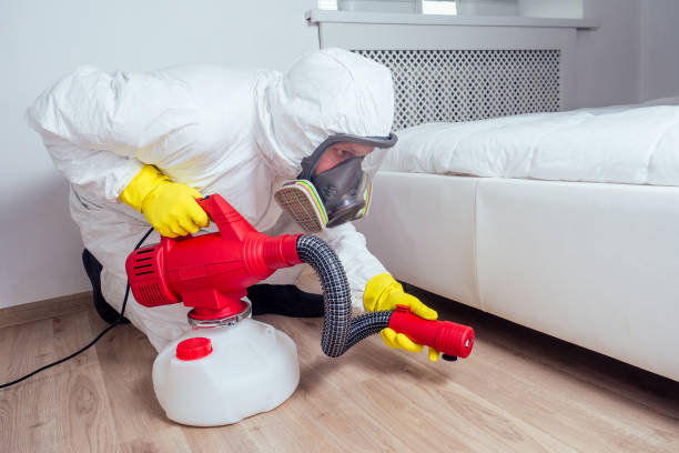 Best Best Pest Control Companies  in Juno Ridge, FL